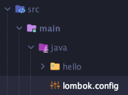 lombok.config